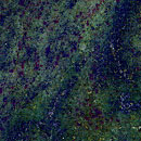 Kerala_Green