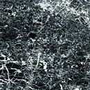 Black-and-White