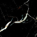Negro_Marquina