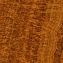 Timber