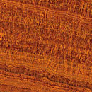 Timber_2