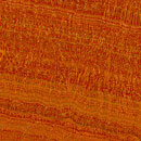 Timber_3